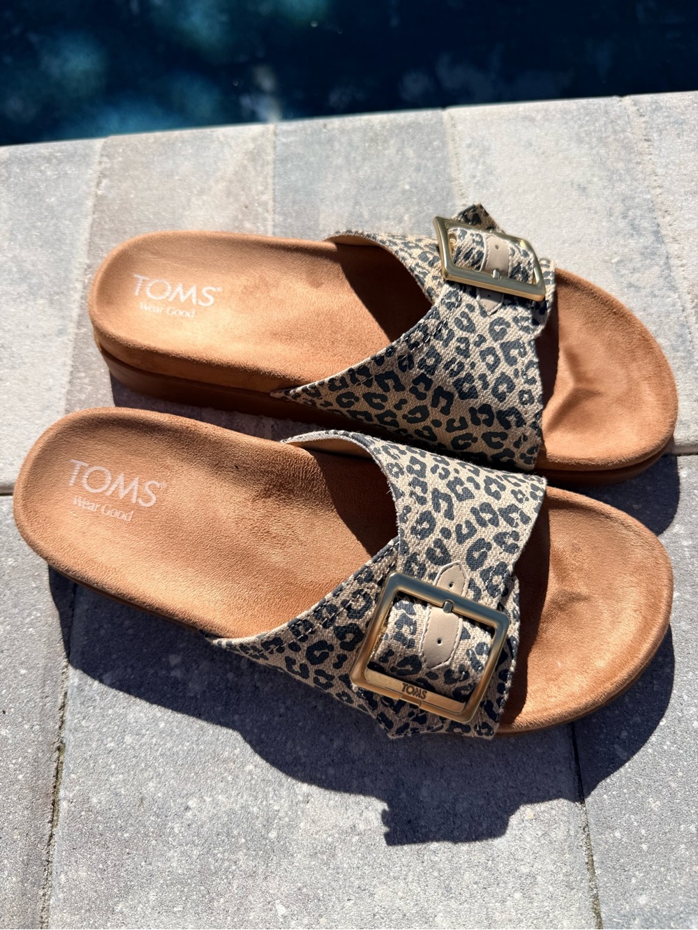 TOMS Marin Leopard Print Slide Mules with Gold Buckles - Brown/Black